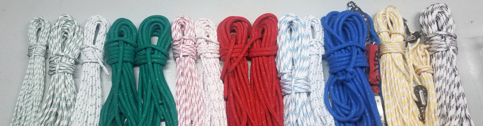 Fallen und Schoten de Rosebud