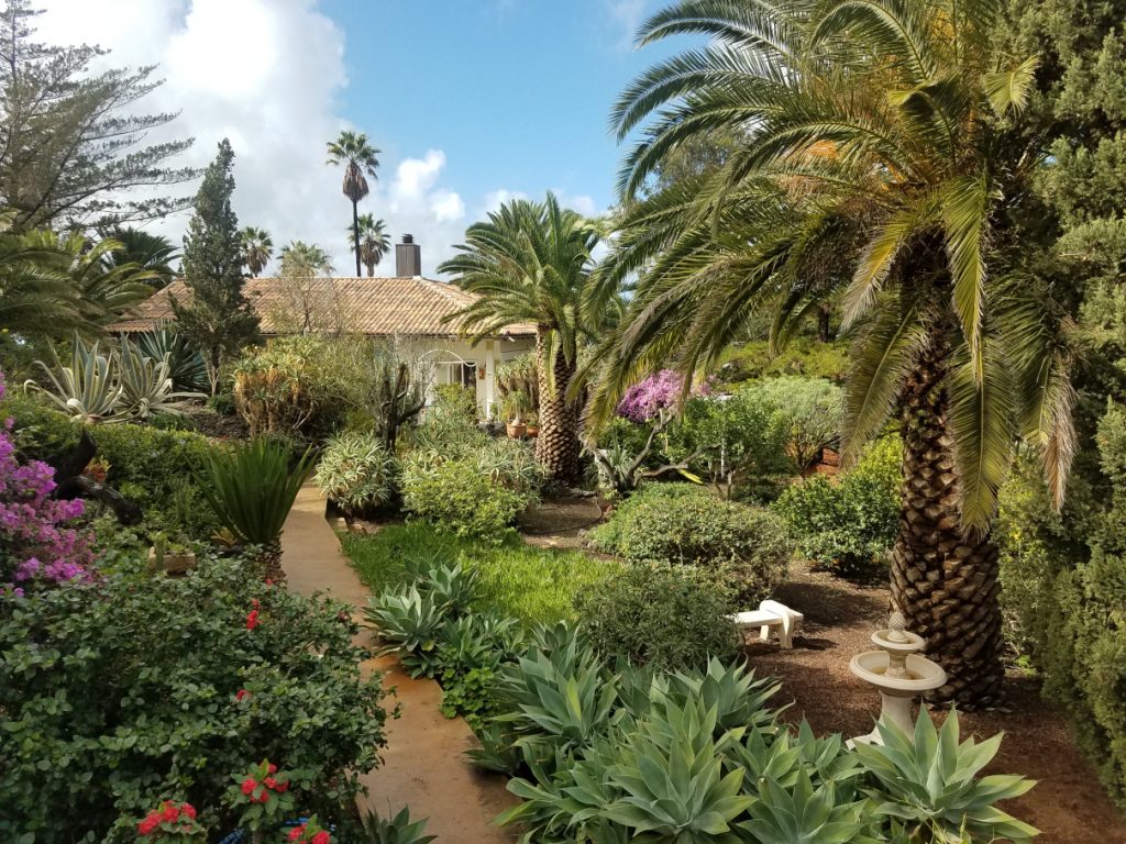 Garten auf La Palma