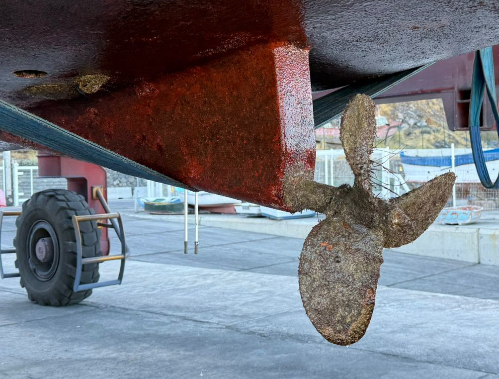 Schiffsschraube mit Bewuchs